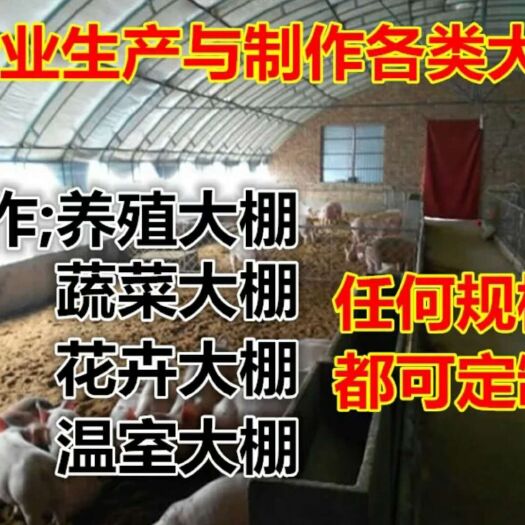 沭阳县养殖大棚 