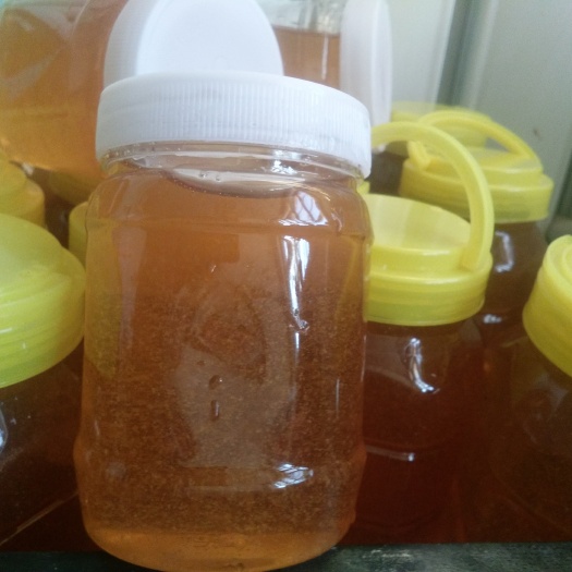 昌黎县荆条蜜  自产天然蜂蜜