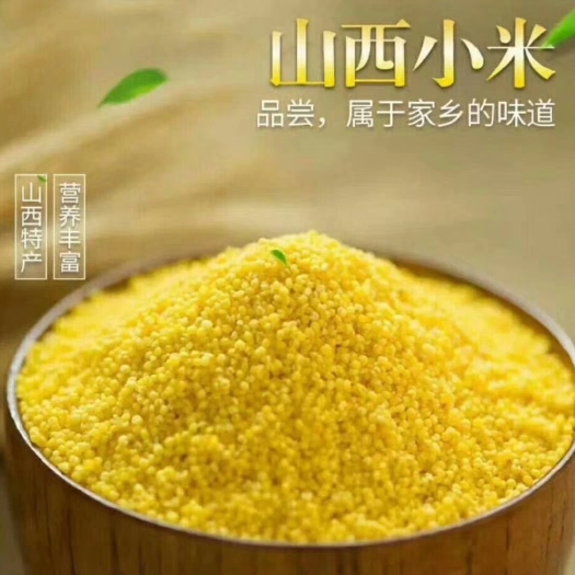 芮城县黄小米