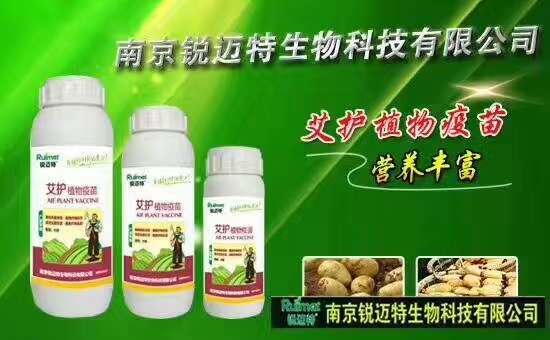 南京叶面肥
