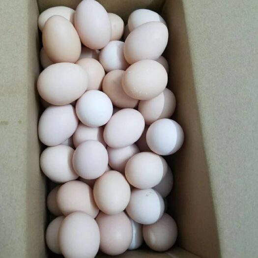 博罗县土鸡蛋 食用 箱装 