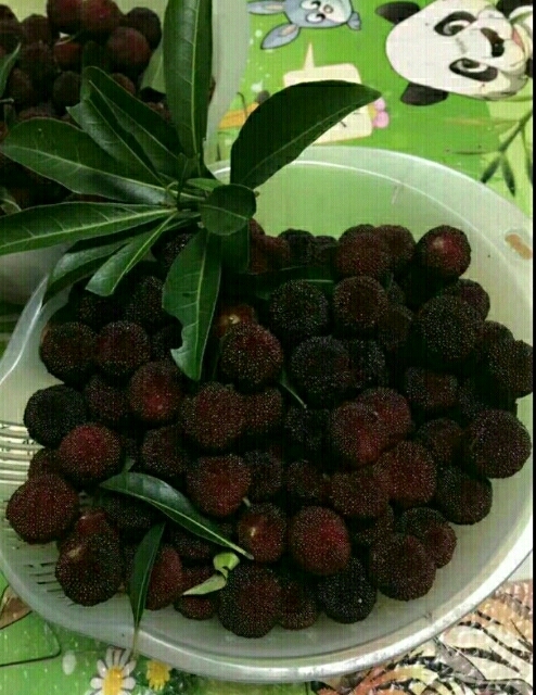 乌梅