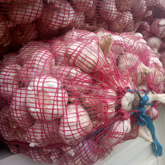 金乡县红皮蒜  金乡优质精品大蒜