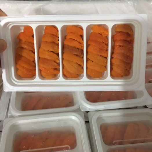 烟台海胆 