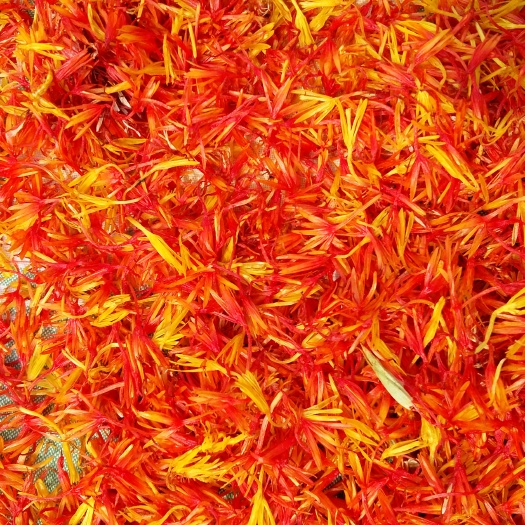 新密市草红花 