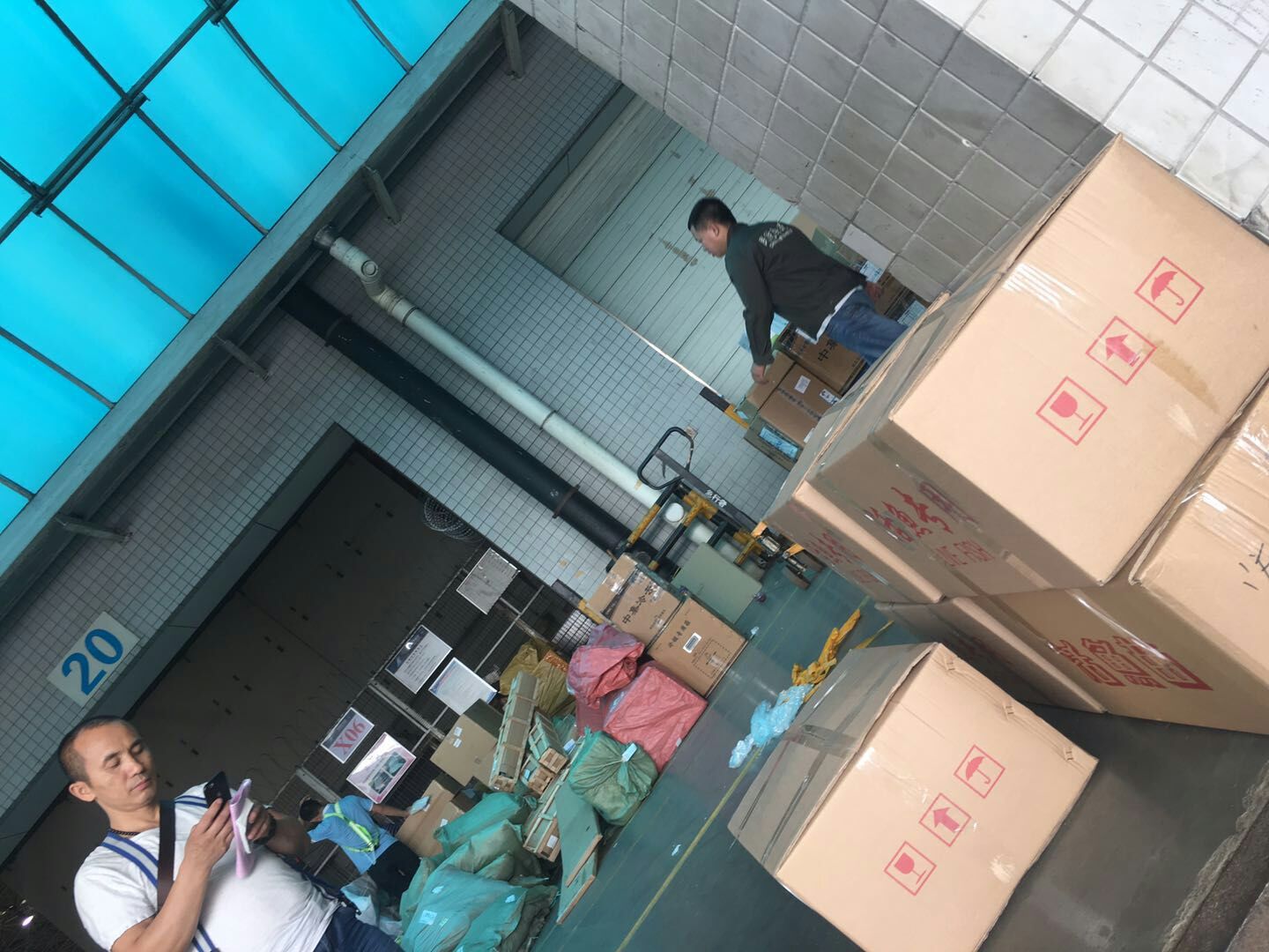 鲫鱼苗  中科五号银/超级/苗场直供，快大，抵抗力强