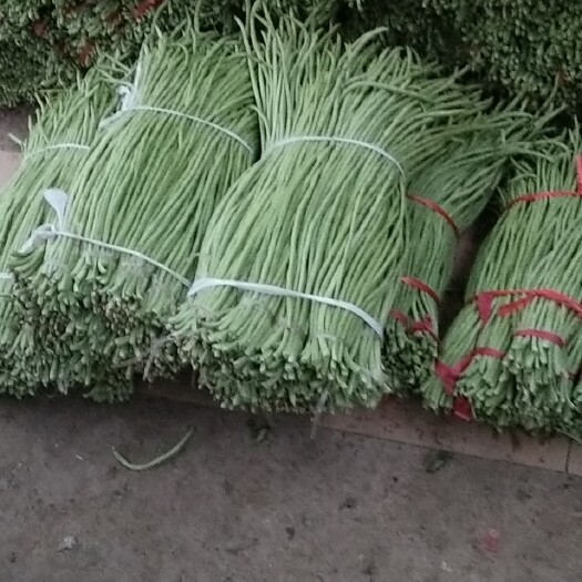 新沂市白条豆角 青条