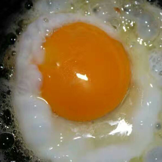馆陶县土鸡蛋 食用 箱装 