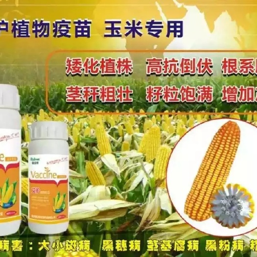 南京玉米专用植物疫苗叶面 