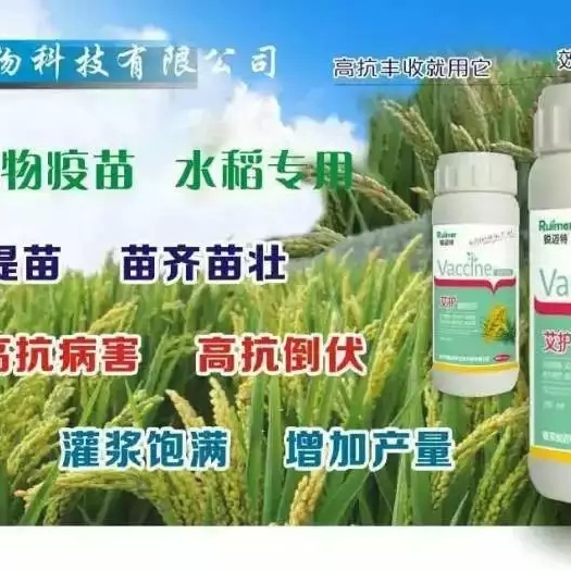 南京水稻专用植物疫苗叶面 
