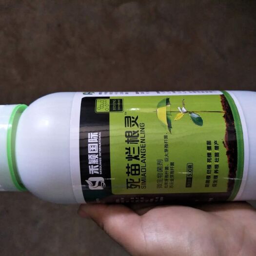 新密市死苗烂根灵 