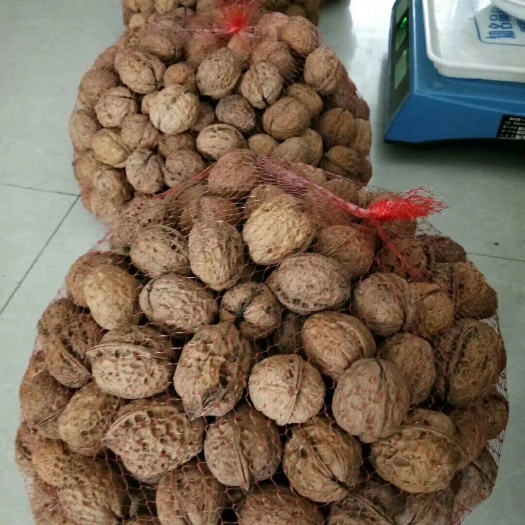 昆明云南大姚三台核桃