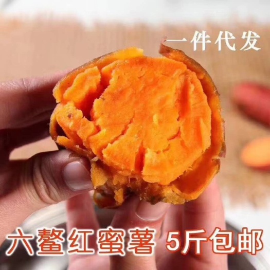 漳浦县六鳌地瓜 混装通货 红皮