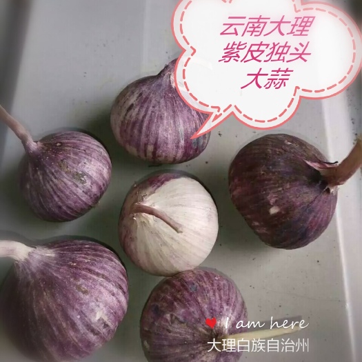 洱源县独头蒜 云南省大理白族自治州洱源县 混级统货 新蒜 库外蒜 干蒜