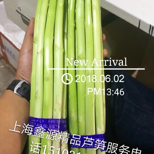 上海 世界生态岛崇明岛鑫源精品有机芦笋