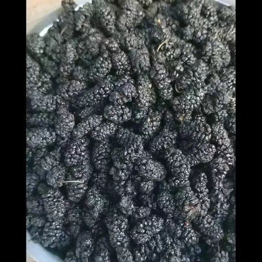 泊头市桑葚果脯