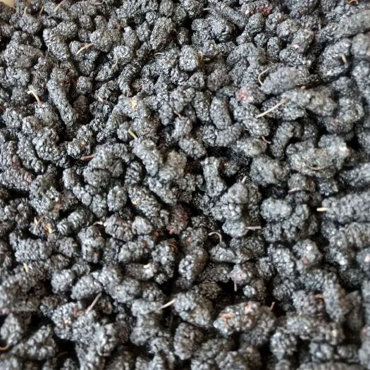 泊头市桑葚果脯