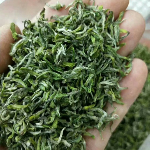 商南县陕南绿茶 特级 袋装