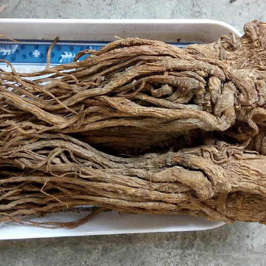 礼县 当归大条无水洗