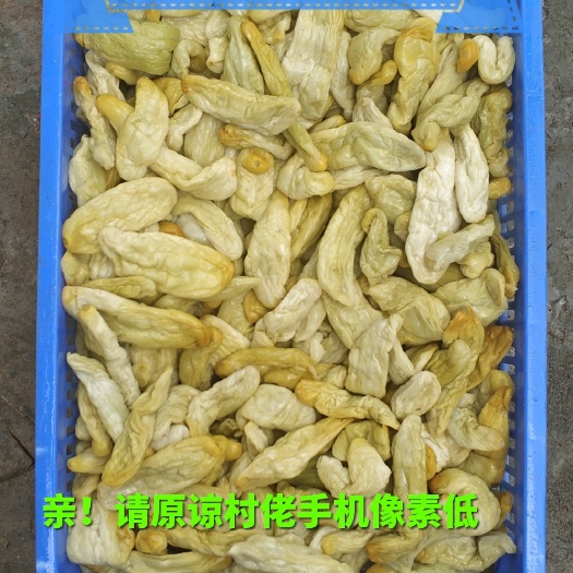 钦州脱水黄瓜干 黄瓜皮