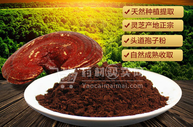 冠县人工灵芝