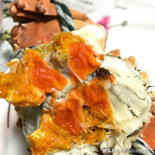 兴化市 六月黄大闸蟹