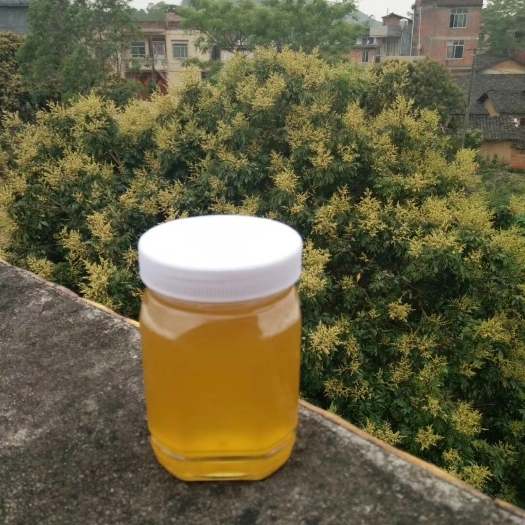 灵山县土蜂蜜 塑料瓶装  2年以上