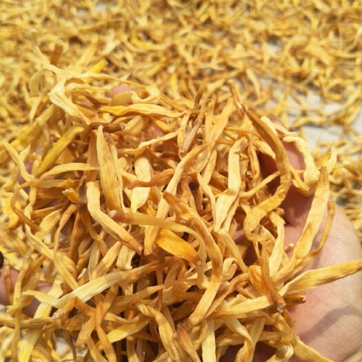 祁东县猛子花  湖南祁东本地菜，无杂菜，烂菜，菜质纯！