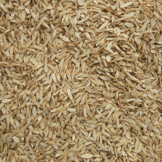 岷县黄芪切片 
