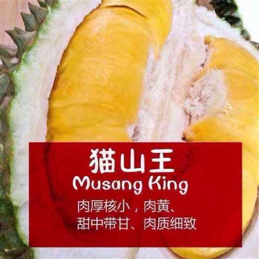 深圳猫山王榴莲 2公斤以下