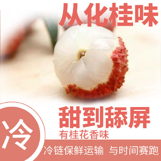 广州 广东从化桂味荔枝新鲜整箱水果批代发上市