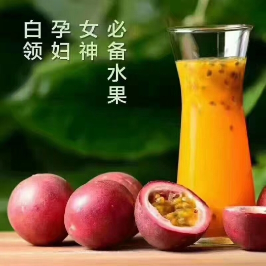 玉林紫香一号百香果 40 - 50克