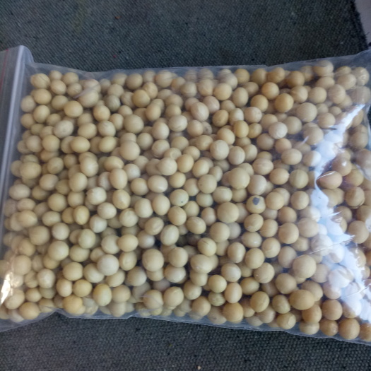 密山市黄黄豆 生大豆 1等品 