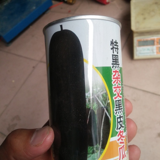 扶沟县特黑杂交黑皮冬瓜种子长条型瓜型较瘦长囗感好商品性强结的多