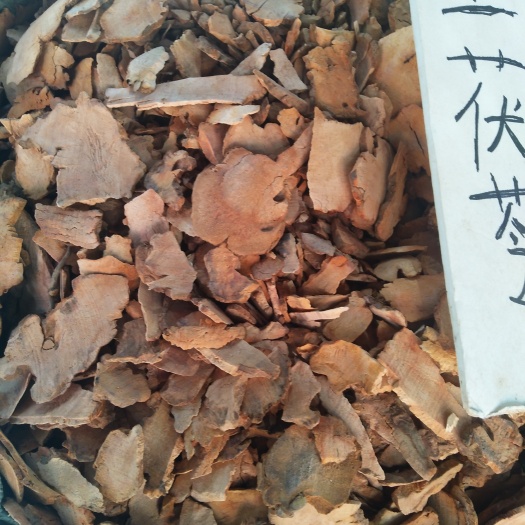 亳州茯苓