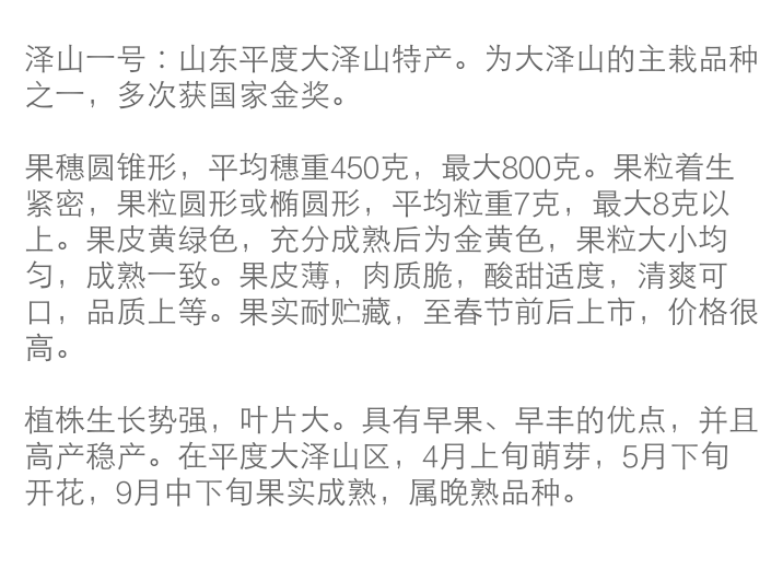 泽山一号葡萄 0.8-1斤 5%以下 1次果