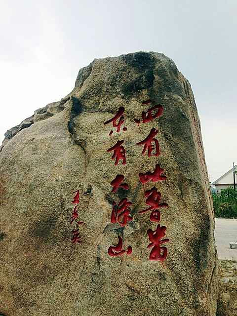 泽山一号葡萄 0.8-1斤 5%以下 1次果