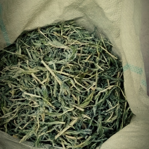 涡阳县贡菜干 24个月以上