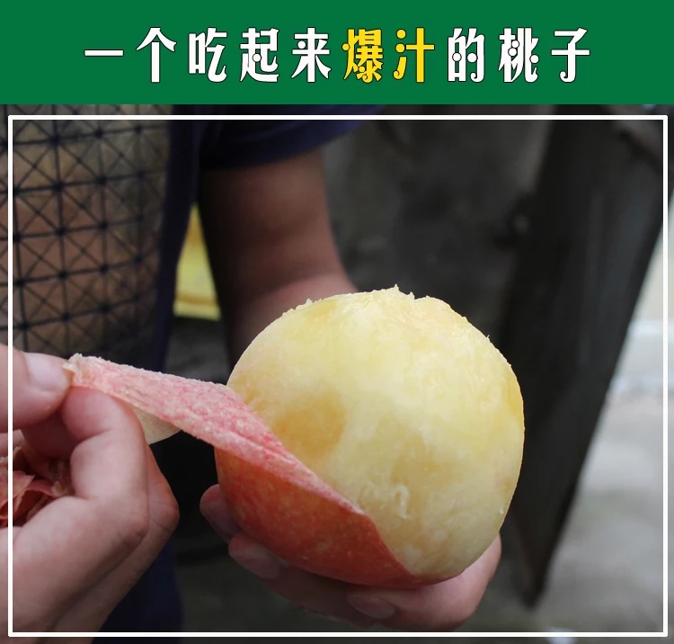 奉化水蜜桃 45mm以上 4两以上