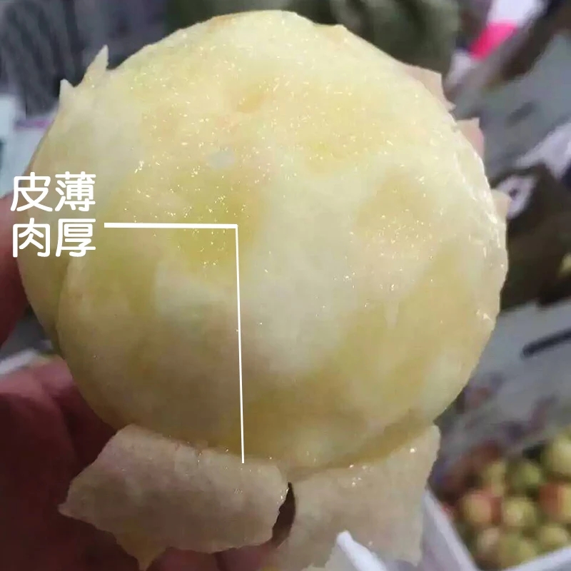 奉化水蜜桃 45mm以上 4两以上