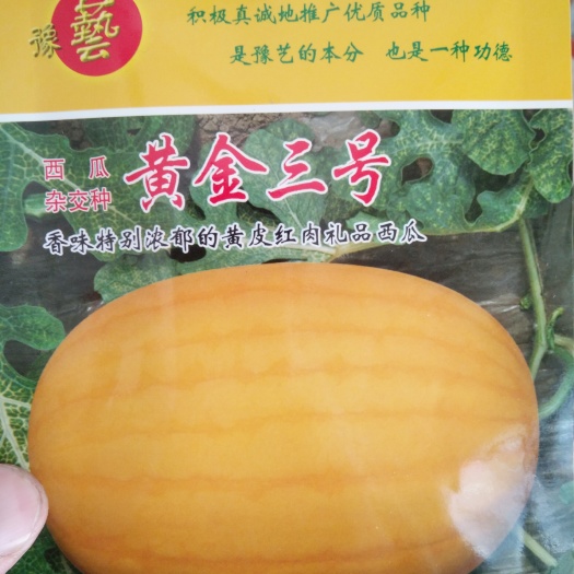 扶沟县黄金三号西瓜种子 黄金三号~早熟易坐果皮薄瓤色红13度5公斤