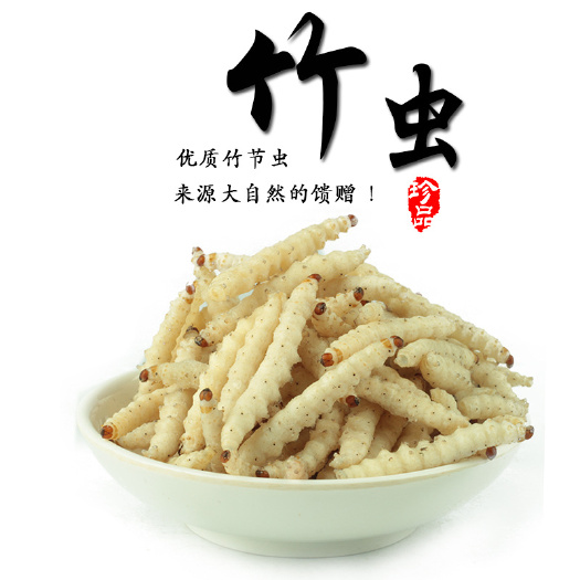 苍梧县竹虫~笋虫~常年供应，欢迎咨询