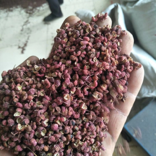 济南山东花椒 干花椒 二级