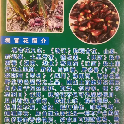 习水县阳荷 