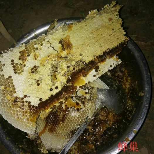 汉中百花蜜 塑料瓶装  2年以上