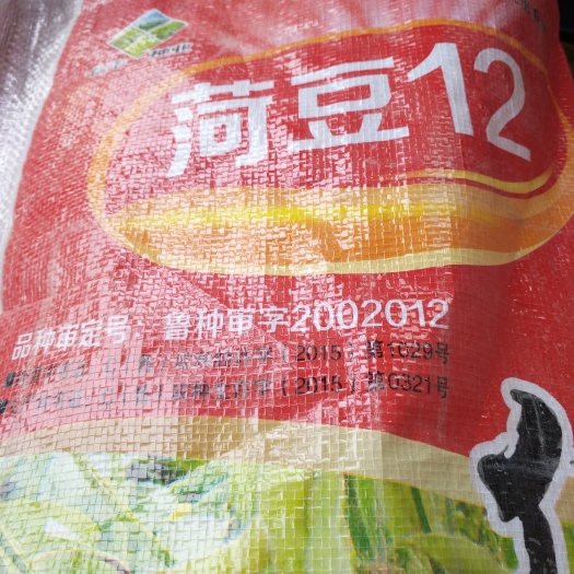 嘉祥县荷豆12 生大豆 1等品