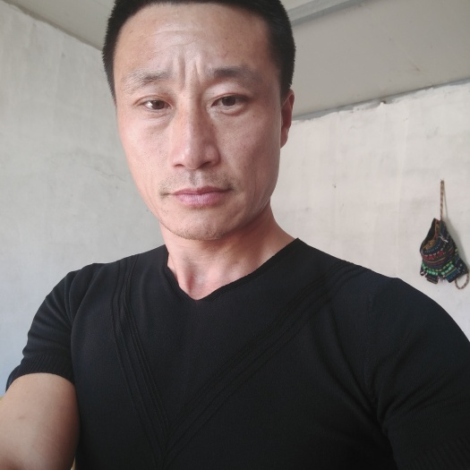泰州大白鹅 统货 全散养 8-10斤 