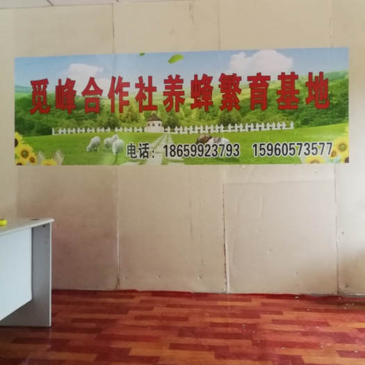 南安市中蜂 来场验货