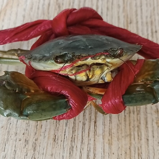 漳浦县青蟹