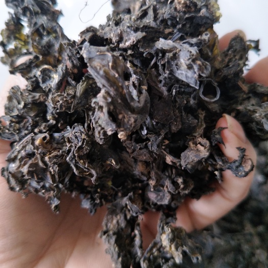 南漳县地皮菜 一级